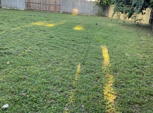Rob C.'s Lawn Care service result