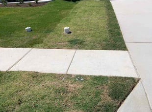 Niesha W.'s Landscaping service result