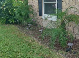 Bush Trimming by Kenneth Hall for Chelsea H. in Orlando, FL