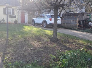 Leaf Removal by Miguel Santos for Catherine N. in Silver Spring, MD