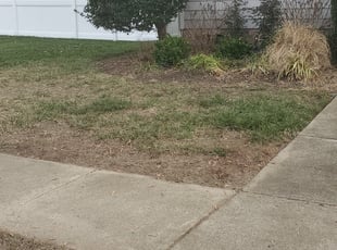 Cleanups by Shawn Darland for Tracey P. in Chesapeake, VA