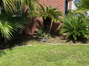 Weeding by Travis Frederickson for Lisa D. in Gulf Breeze, FL