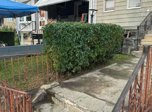 Bush Trimming by Elijah Brown for Ryann L. in Philadelphia, PA