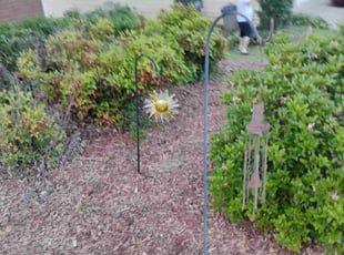 Weeding by Jordan Guerrero for James B. in Marietta, GA