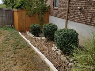 Bush Trimming by Johann Fredericks for Herb C. in San Antonio, TX