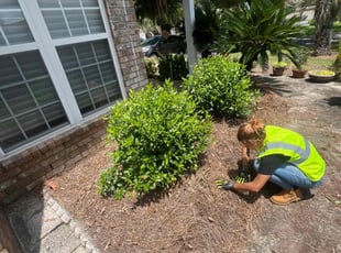 Lori T.'s Flower Bed Weeding service result