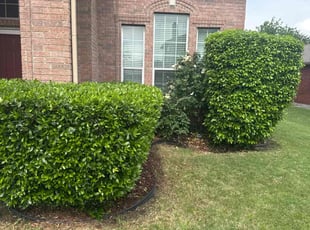 Bush Trimming by Jason Mince for Andrea A. in Little Elm, TX