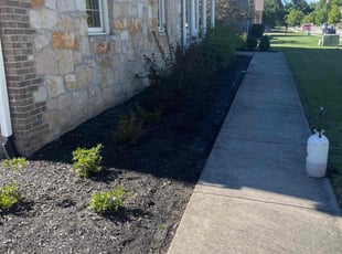 Weeding by Tywuan Williams for Tyler B. in Indianapolis, IN