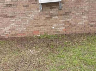 Leaf Removal by Rachel Sharp for Melissa K. in Norman, OK