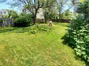 James B.'s Lawn Mowing service result