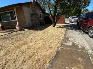 Cleanups by Gabriel Aldrete for Stephanie S. in Sacramento, CA