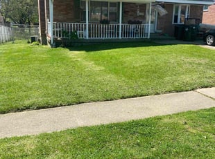Terri H.'s Yard Cutting service result
