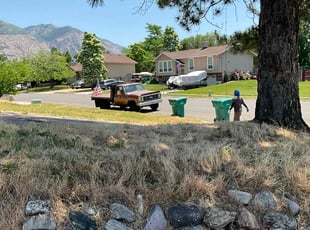 Cleanups by Angelo Hernandez for Taylor S. in Harrisville, UT