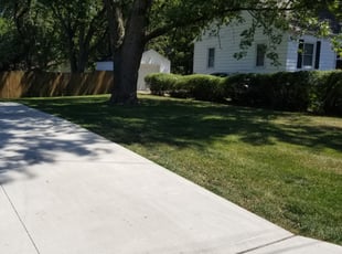 Bush Trimming by Scott Beveridge for James H. in Des Moines, IA