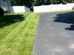 Kim B.'s Yard Cutting service result
