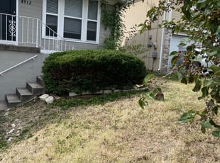 Bush Trimming by Richard Bagley for Quirino R. in Kansas City, MO