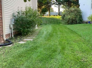 David S.'s Lawn Service service result