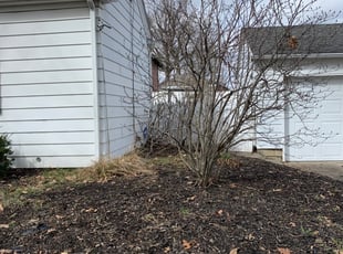 Cleanups by Nick Richardson for Mary B. in Fort Wayne, IN