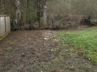 Leaf Removal by Courtney Roberts for Hanford M. in Puyallup, WA