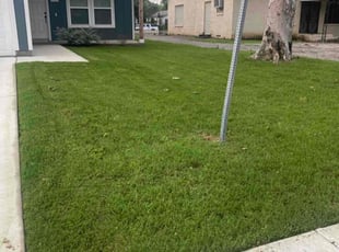 Sara P.'s Lawn Service service result