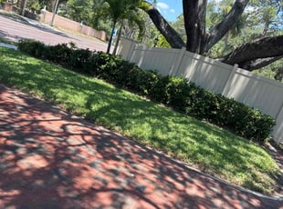 Lorraine D.'s Lawn Maintenance service result