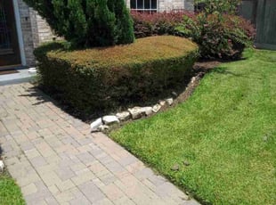 Weeding by Donovan Perry for Mike B. in Houston, TX