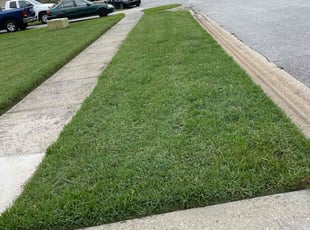 Tin M.'s Lawn Service service result