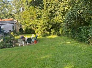 Mya W.'s Lawn Mowing service result