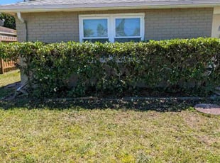 Bush Trimming by John Murtagh for Melissa B. in Port Richey, FL