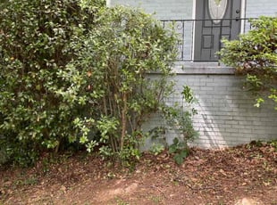 Bush Trimming by Latonya Talley for Cypress H. in Atlanta, GA