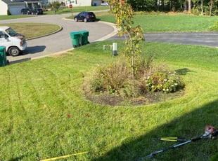 Bush Trimming by Aaron Kinchen for Antoinette G. in Midlothian, VA