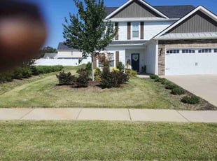 Vanessa S.'s Grass Cutting service result