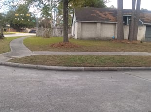 Leaf Removal by Byron Dirden for Diane T. in Spring, TX