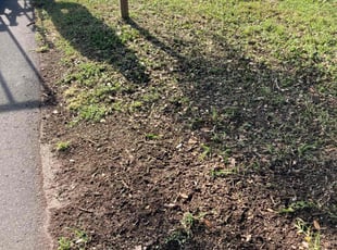 Cleanups by Robert Martin for Savannah D. in Winter Haven, FL