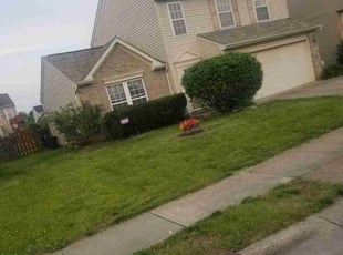 Bush Trimming by Dante Hicks for Barb H. in Trenton, OH