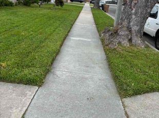 Anthony M.'s Lawn Mowing service result