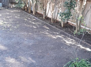 Leaf Removal by Rene Hernandez for Ismael G. in San Antonio, TX