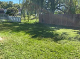 Nitza L.'s Lawn Service service result