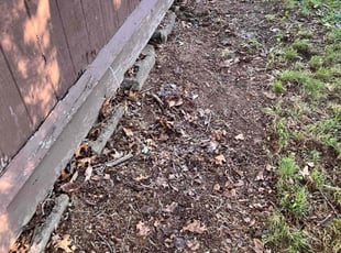 Cleanups by Andrew Paul for Jennifer D. in Bristol, CT