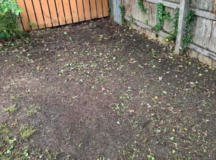 Leaf Removal by Ronald Lindsay for Natalie L. in Knoxville, TN