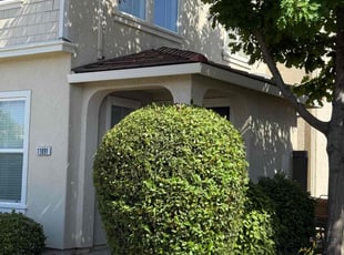 jean C.'s Bush Trimming service result