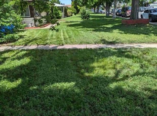Leaf Removal by Johnny Hines for Jessica F. in Aurora, CO