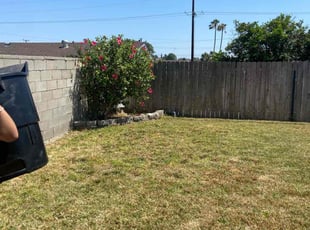 Bush Trimming by George Islas for Monique V. in Whittier, CA