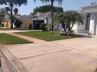 Issaiah S.'s Lawn Care service result