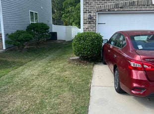 Bush Trimming by Mohamed Benjalil for Vivian L. in Raleigh, NC