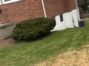 Bush Trimming by Khyrice Dukes for Annette H. in Parkville, MD