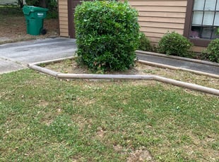 Bush Trimming by Jekelia Ezzard for Lori S. in Snellville, GA