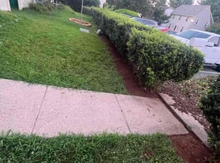 Joel S.'s Weed Pulling service result