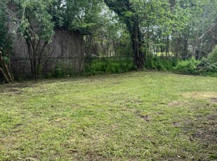Bush Trimming by Isiah Williams for Susan M. in New Iberia, LA