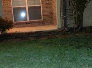 Cleanups by Timothy Logan for Joshua F. in Olive Branch, MS